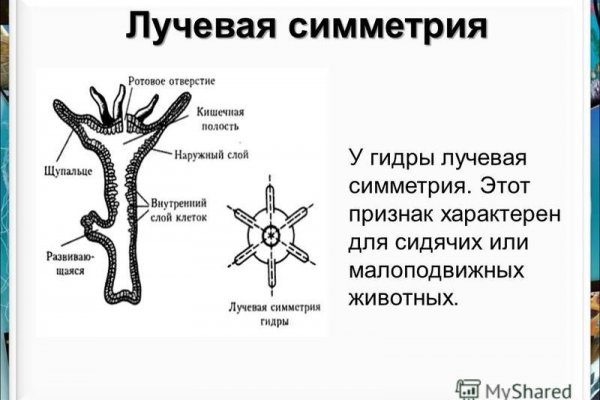 Кракен современный маркетплейс